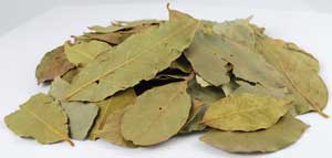 Bay Leaves, whole 2oz (Laurus nobilis)