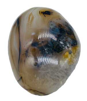 #Dendritic Agate palm stone# - ## at Solace GemWorks