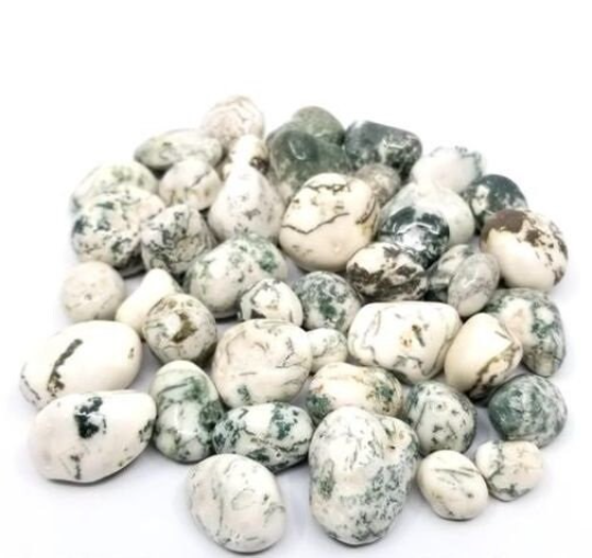 Tree Agate Tumbled Stones - Bulk Wholesale choose: 1lb, 3lbs or 5lbs