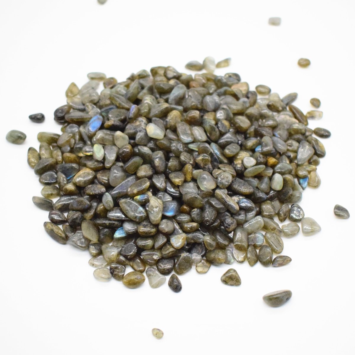 #Labradorite Tumbled Chips - Bulk Wholesale choose: 1lb or 3lb# - ## at Solace GemWorks