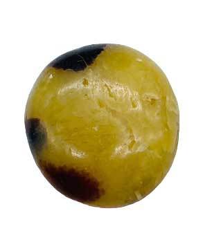 #Septarian palm stone# - ## at Solace GemWorks