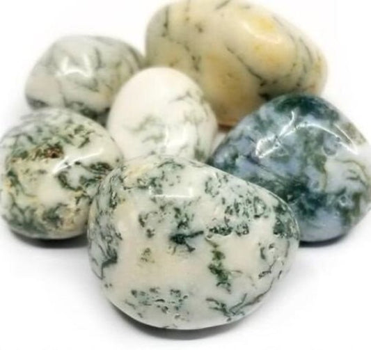 #Tree Agate Tumbled Stones - Bulk Wholesale choose: 1lb, 3lbs or 5lbs# - ## at Solace GemWorks